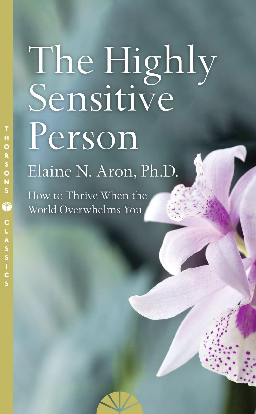 The Highly Sensitive Person: How to Survive and Thrive When the World Overwhelms You
