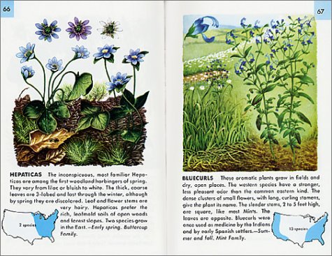 Wildflowers: A Fully Illustrated, Authoritative and Easy-to-Use Guide (A Golden Guide from St. Martin's Press)