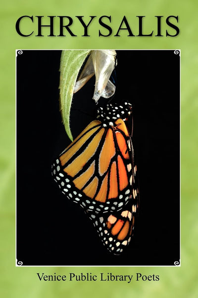 Chrysalis