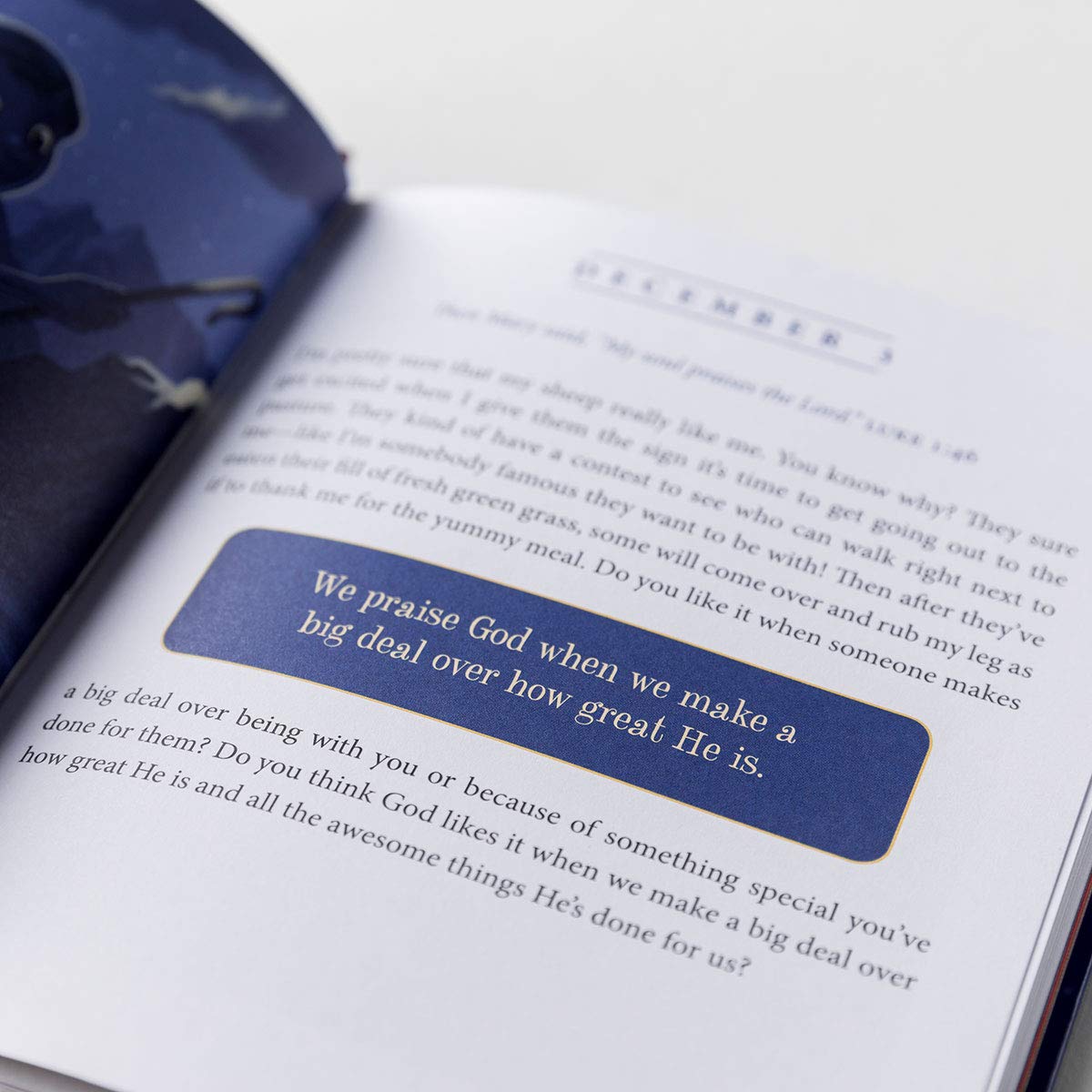 The Shepherd on the Search: A 25 Day Family Devotional (Disc