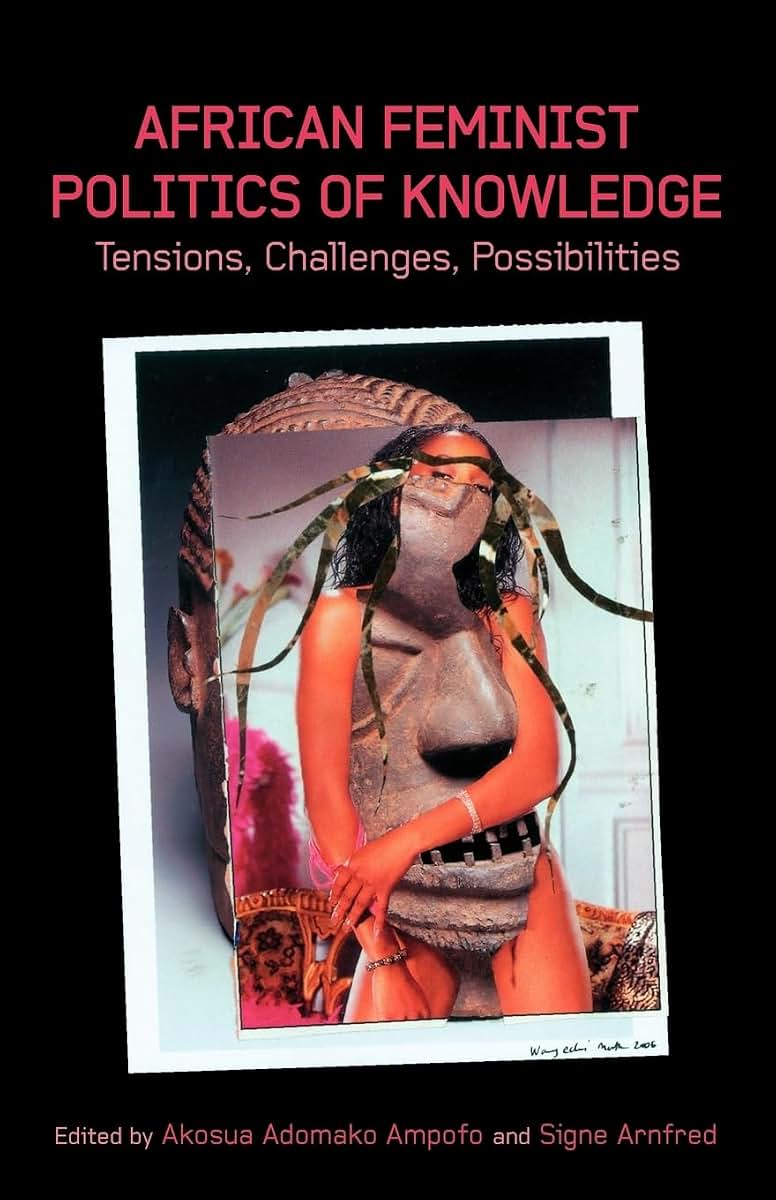 African Feminist Politics of Knowledge: Tensions, Challenges, Possibilities