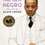 The New Negro: The Life of Alain Locke by Stewart, Jeffrey C