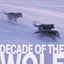 Decade of the Wolf: Returning The Wild To Yellowstone