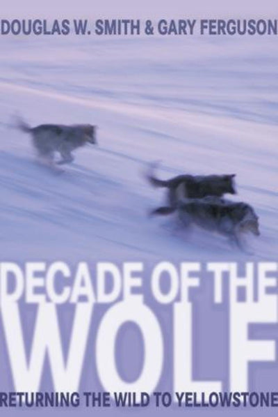 Decade of the Wolf: Returning The Wild To Yellowstone