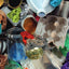 We Recycle (Science Readers: Content and Literacy)