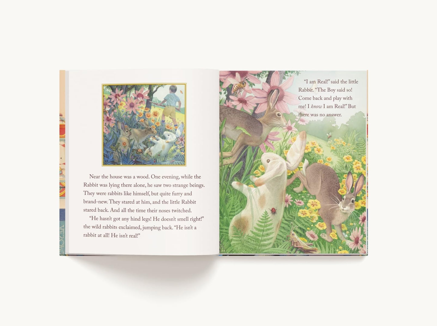 The Velveteen Rabbit: A Little Apple Classic (Little Apple Books)