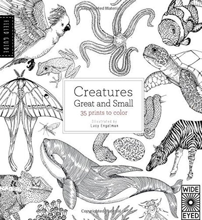 Field Guide: Creatures Great and Small: 35 prints to color