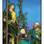 Connolly Tarot Deck
