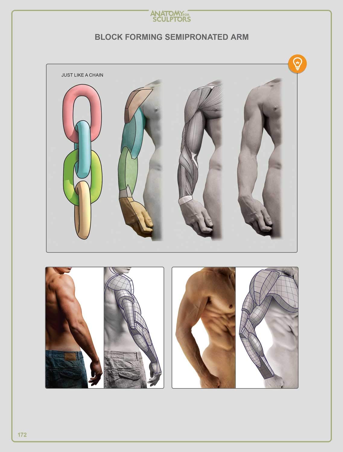 Anatomy For Sculptors, Understanding the Human Figure by Uld