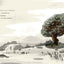 If the Tree Could Speak: The Story of the Cross That Saw It All