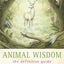 Animal Wisdom by Jessica Dawn Palmer