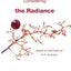 Considering the Radiance: Essays on the Poetry of A. R. Ammons