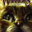 Warriors: The New Prophecy #5: Twilight