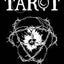 Next World Tarot: Pocket Edition: Deck and Guidebook by C. R