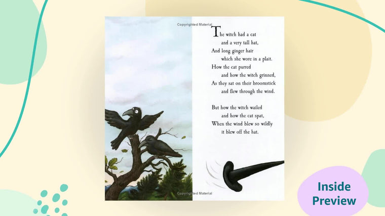 Room on the Broom — back cover