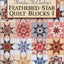 Feathered Star Quilt Blocks I