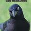 Birds With Bad Attitudes: Password Logbook With Encryption Cipher (A True Discreet Password Keeper, No Words On Spine)
