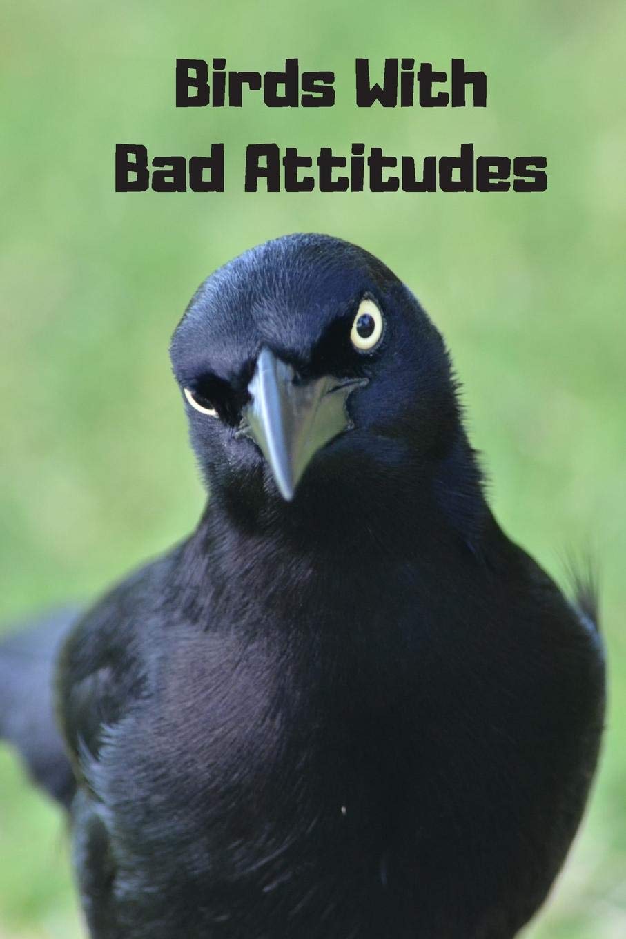 Birds With Bad Attitudes: Password Logbook With Encryption Cipher (A True Discreet Password Keeper, No Words On Spine)