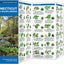 Connecticut Trees & Wildflowers: A Folding Pocket Guide to Familiar Plants (Wildlife and Nature Identification)