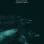 Don't Explain (Volume 1997) (Wisconsin Poetry Series)