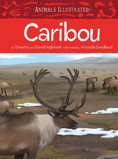 Animals Illustrated: Caribou (Animals Illustrated, 7)