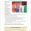 You Are a Social Detective! Teaching Curriculum and Support Guide