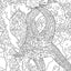 The National Parks Postcard Coloring Book: 20 Colorable Postcards of America's National Parks