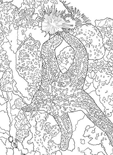 The National Parks Postcard Coloring Book: 20 Colorable Postcards of America's National Parks