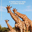 African Wildlife: A Folding Pocket Guide to Familiar Species (Wildlife and Nature Identification)