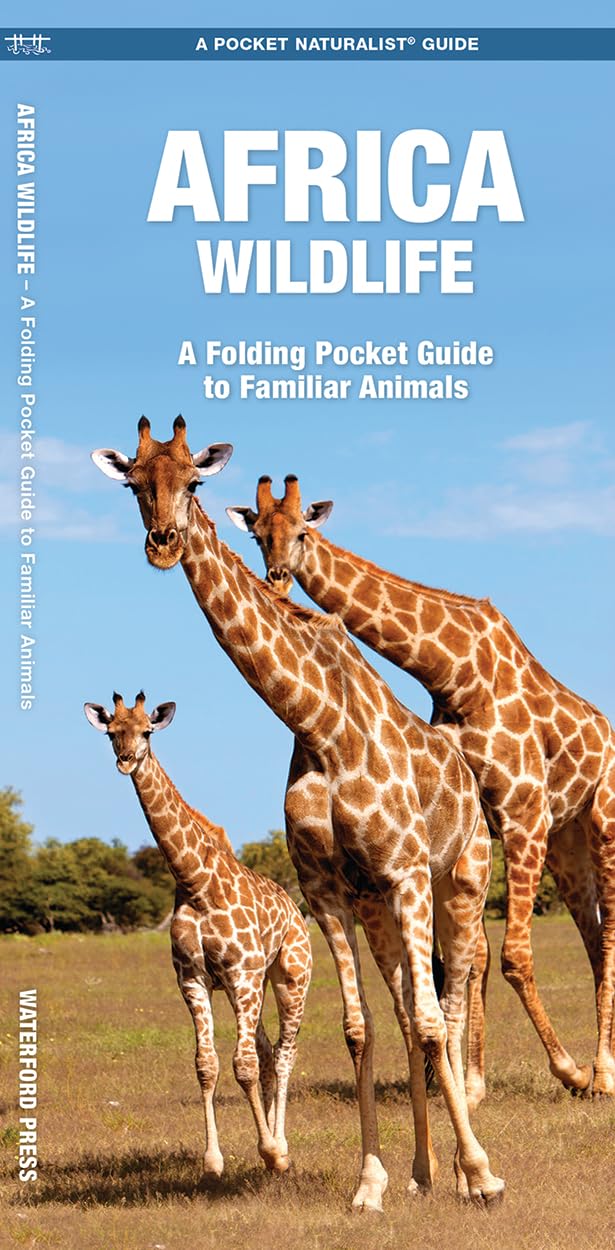 African Wildlife: A Folding Pocket Guide to Familiar Species (Wildlife and Nature Identification)
