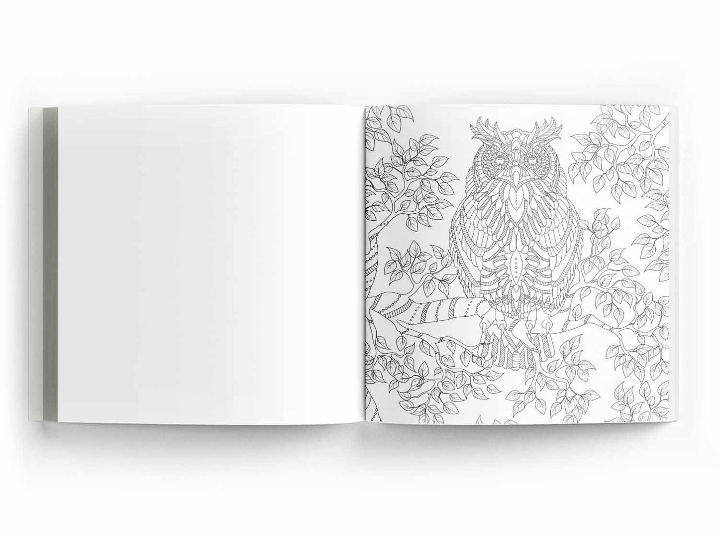 Majestic Animals: Colouring books for Adults with tear out sheets
