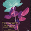 Culture and Processes of Adult Learning (Learning Through Life 1)