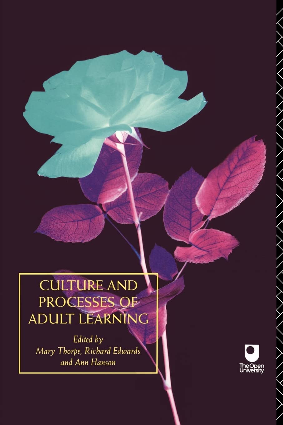 Culture and Processes of Adult Learning (Learning Through Life 1)