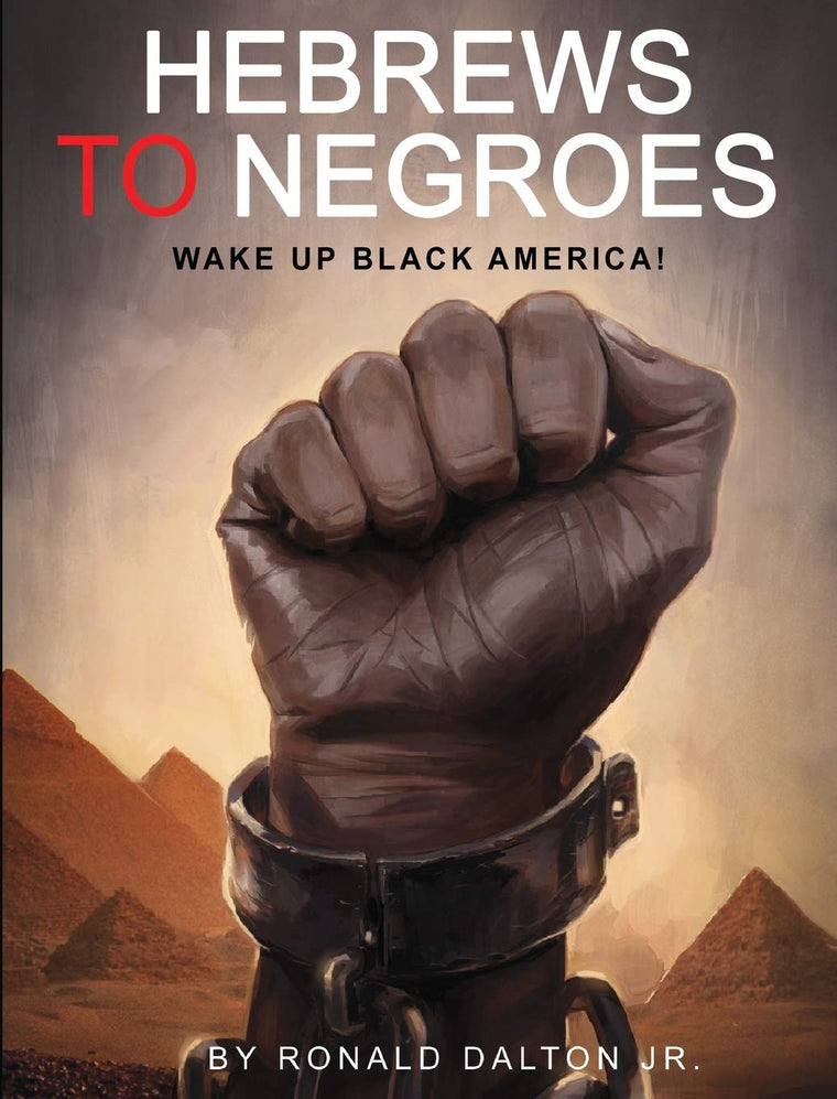 Hebrews to Negroes: Wake Up Black America! by Dalton Jr, Ron