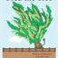 Fred the Tree
