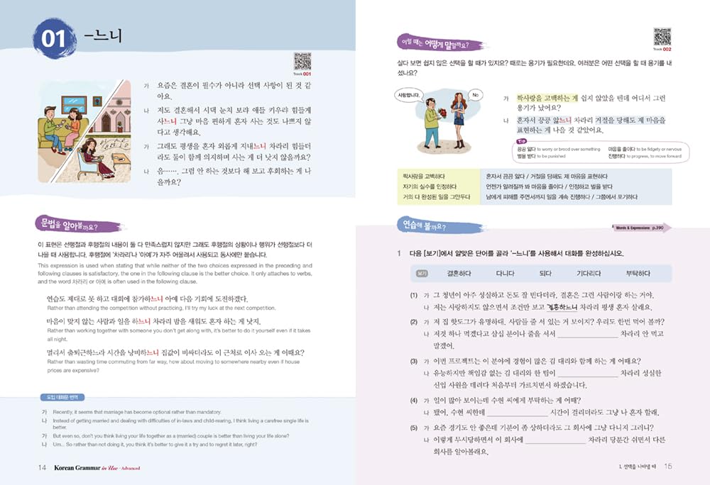Korean Grammar in Use - Advanced