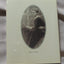The Country Diary of an Edwardian Lady: A Facsimile Reproduction