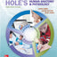 Hole's Human Anatomy & Physiology