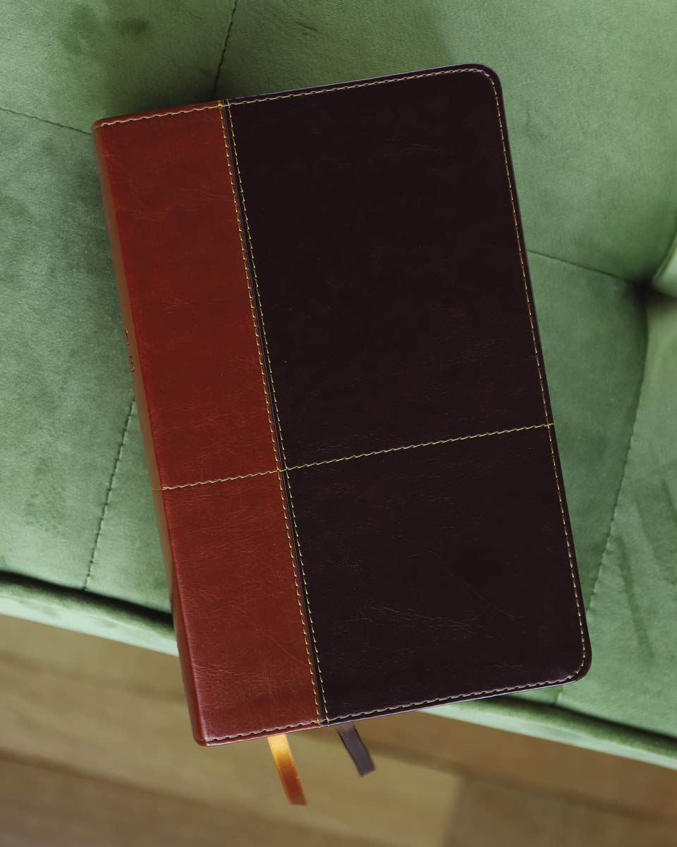 NIV, Personal Size Reference Bible, Large Print, Leathersoft