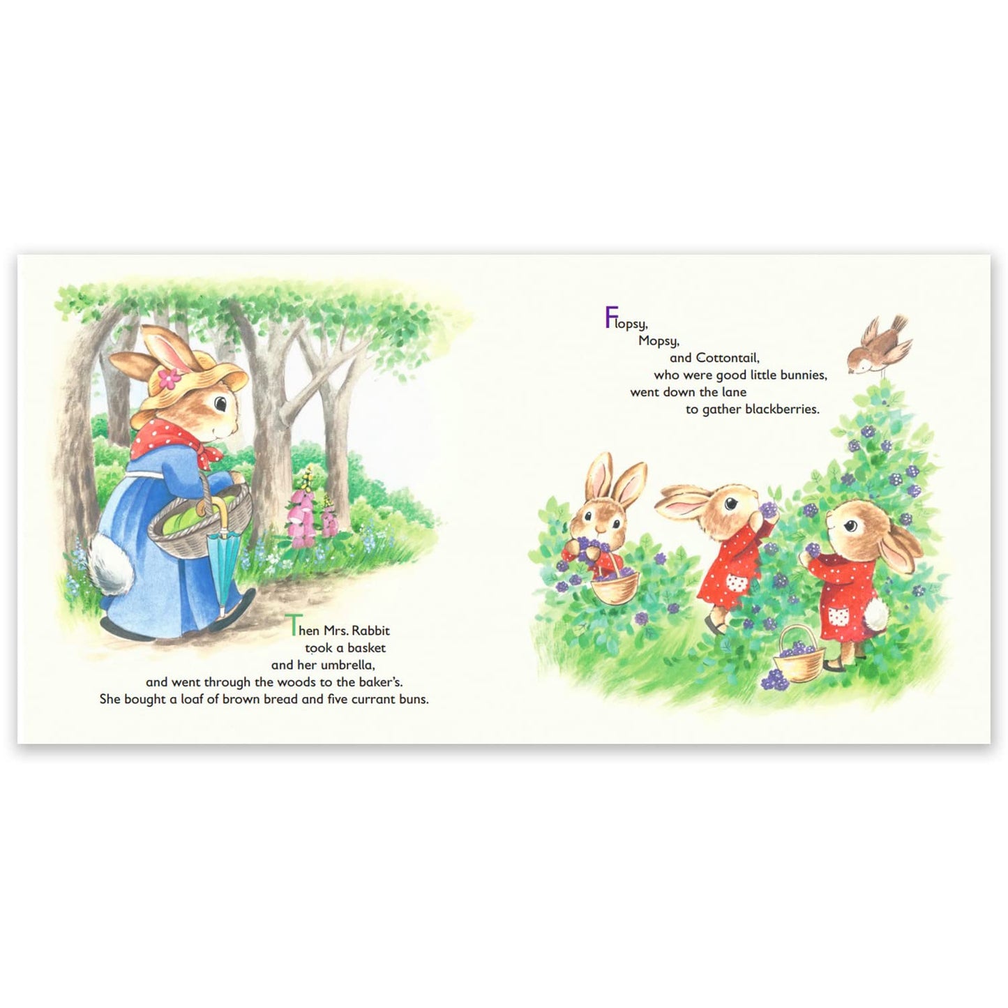 The Tale of Peter Rabbit - Kids Books - Childrens Books - Toddler Books by Page Publications