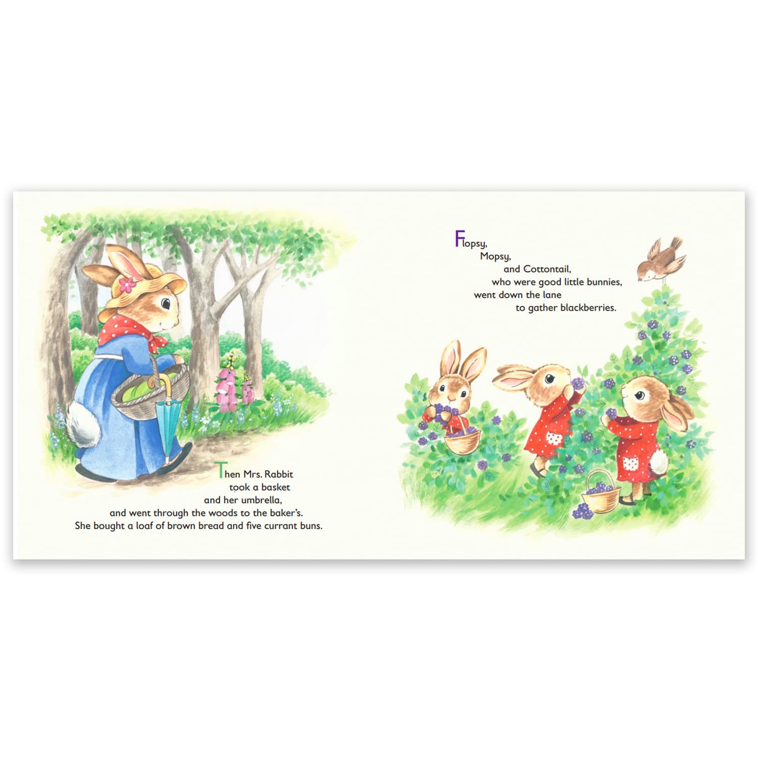 The Tale of Peter Rabbit - Kids Books - Childrens Books - Toddler Books by Page Publications