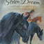 Selah's Stolen Dream (Dream Horse Adventures)