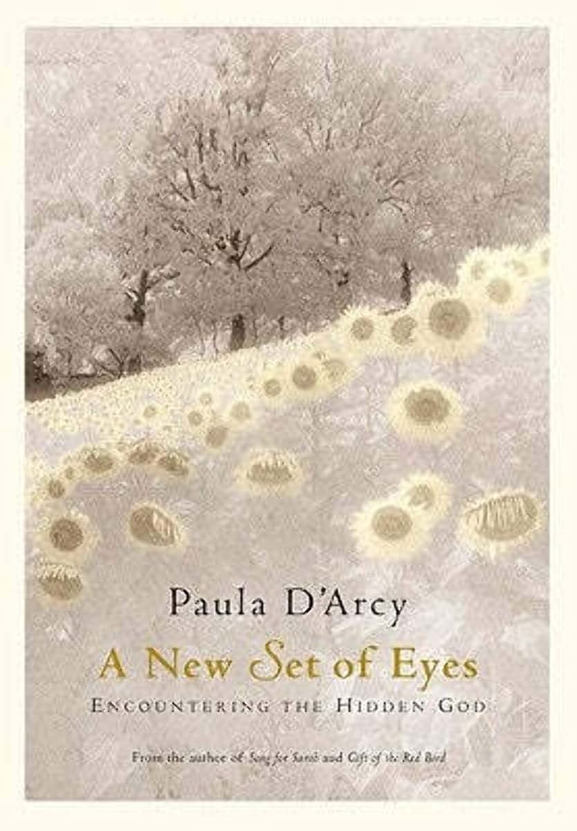 A New Set of Eyes: Encountering the Hidden God