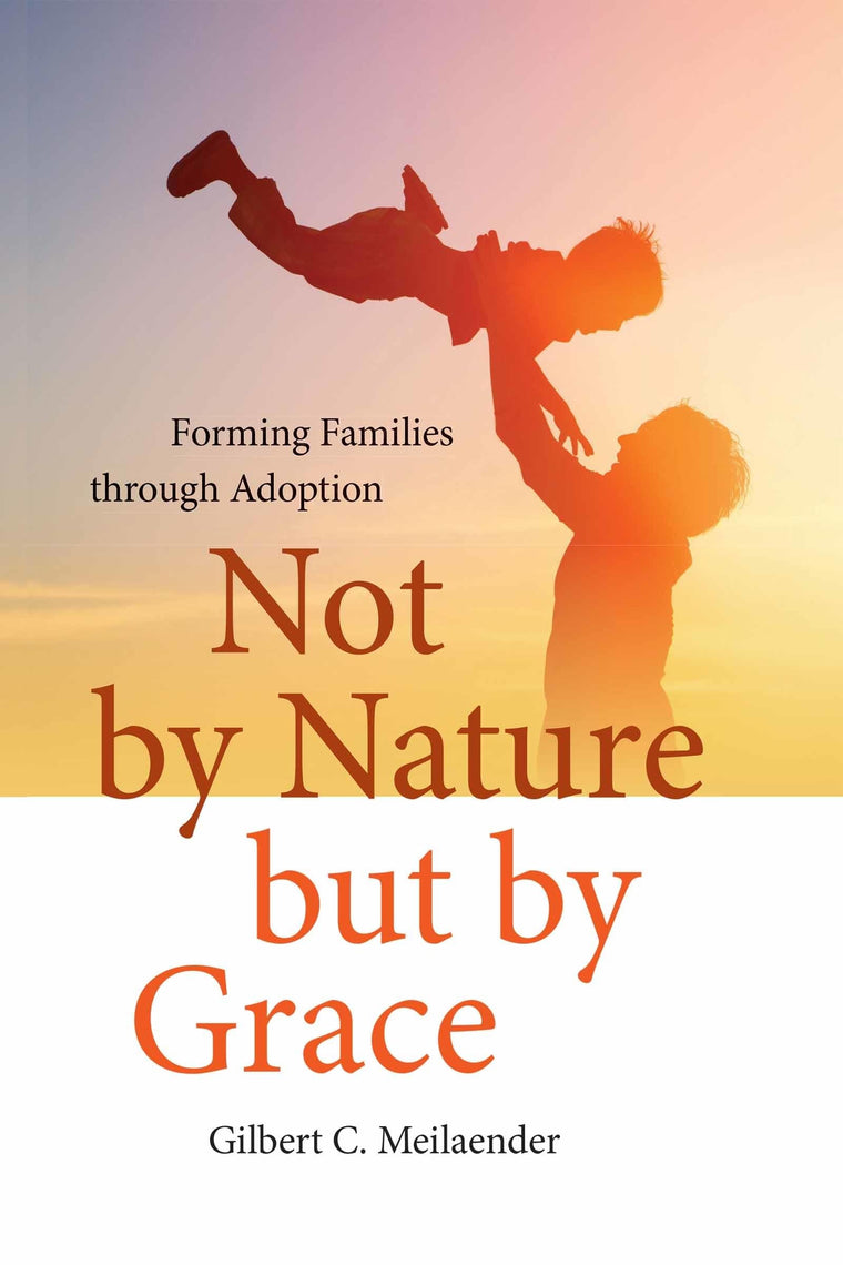 Not by Nature but by Grace: Forming Families through Adoption (Catholic Ideas for a Secular World)