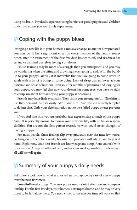 The Labrador Handbook: Your Definitive Guide to Care and Training