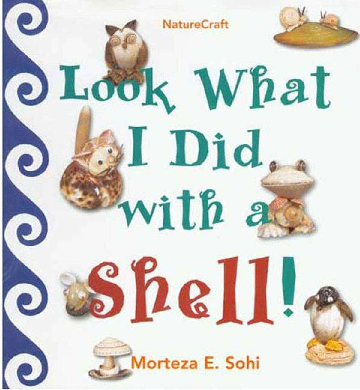 Look What I Did With a Shell!