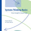 Systems Thinking Basics: From Concepts to Causal Loops
