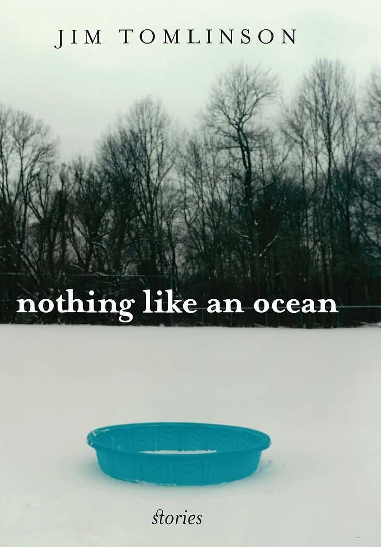 Nothing Like an Ocean: Stories (Kentucky Voices)