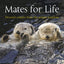 Mates for Life: Devoted Couples from the Animal Kingdom