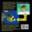 Find It: Hawaii Snorkeling Edition: A Field Notebook for the Young Explorer